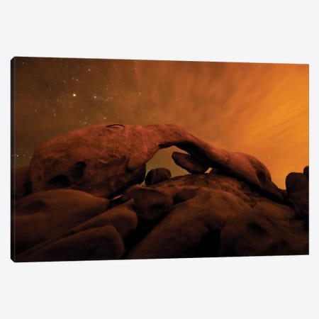 Obscura Canvas Print #DLF176} by Dustin LeFevre Canvas Print