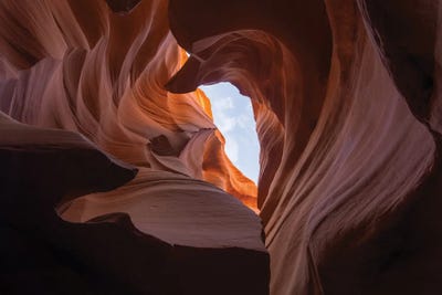 Sky Light by Dustin LeFevre art print