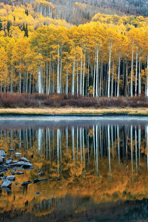 Willow Lake Autumn