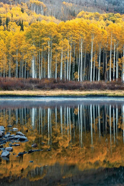 Willow Lake Autumn