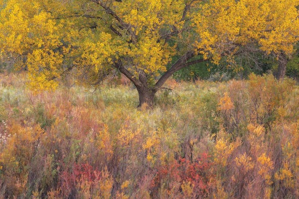 Utah: Pastels by Dustin LeFevre