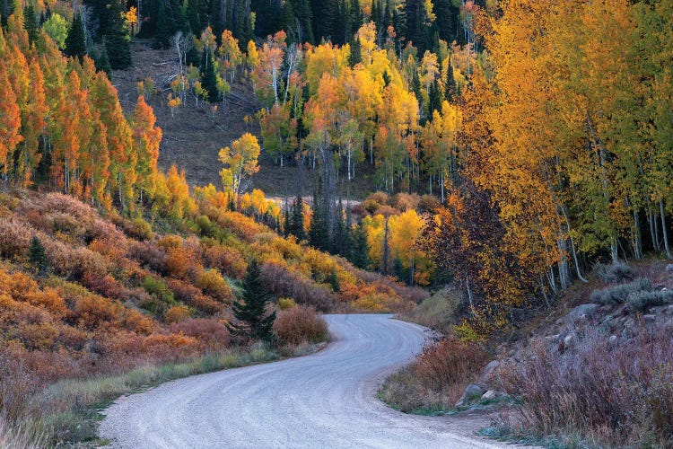 Uinta Mountains Fall by Dustin LeFevre wall art