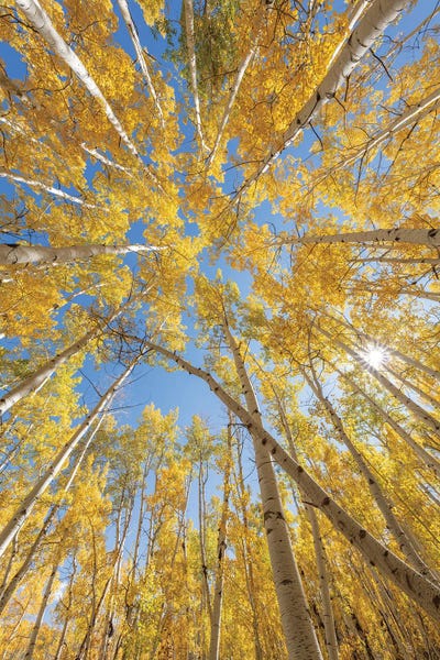Utah: Crossed by Dustin LeFevre
