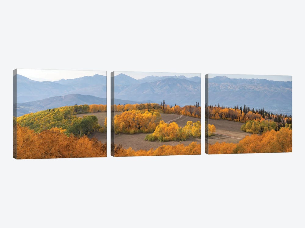 Mountain Meadow Utah by Dustin LeFevre 3-piece Canvas Art Print