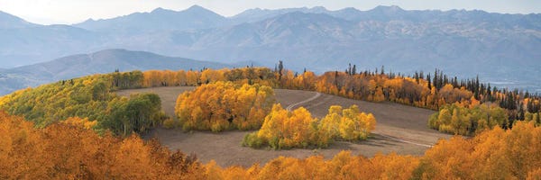 Utah: Mountain Meadow Utah by Dustin LeFevre