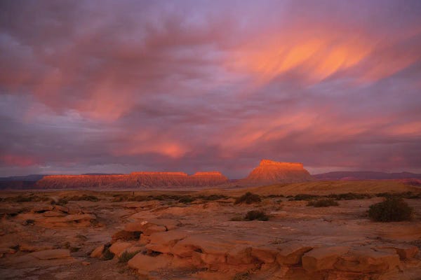 Utah: Alight by Dustin LeFevre