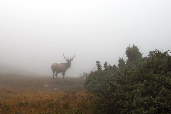 Dustin LeFevre: Rocky Mountain Majesty by Dustin LeFevre