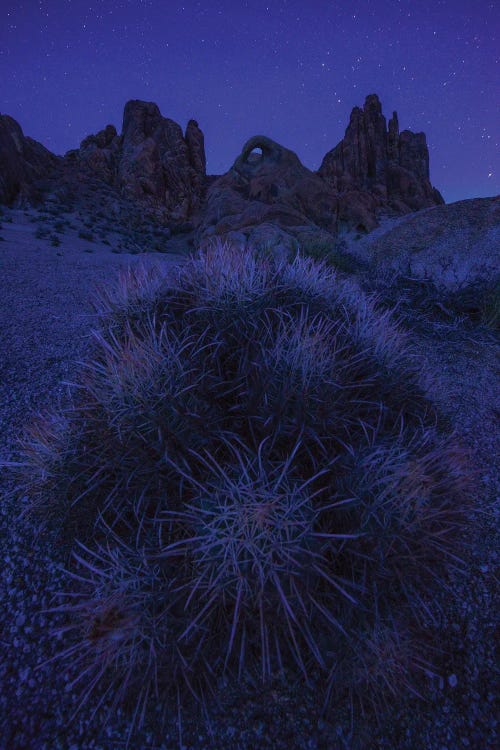 Eye Of Alabama Hills by Dustin LeFevre wall art