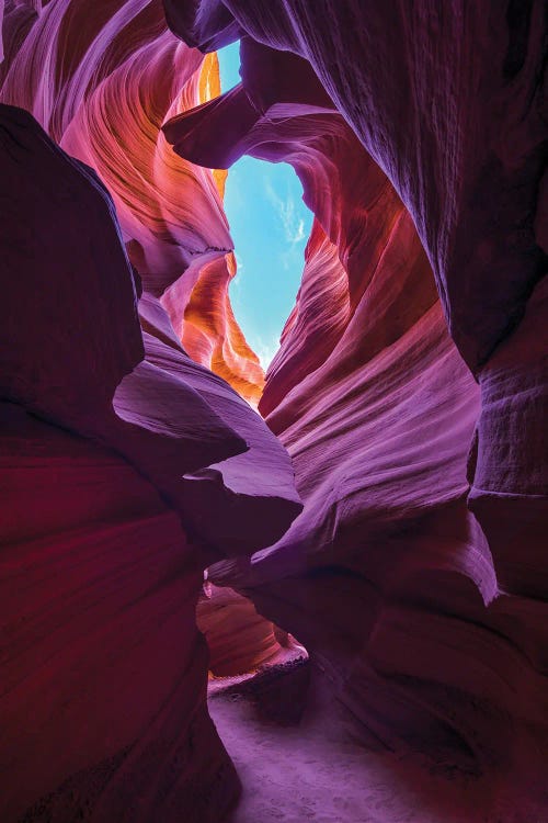 Desert Window by Dustin LeFevre wall art