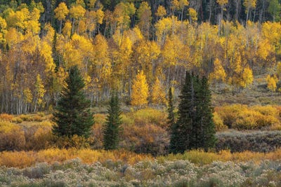 Strawberry Recevoir by Dustin LeFevre canvas print