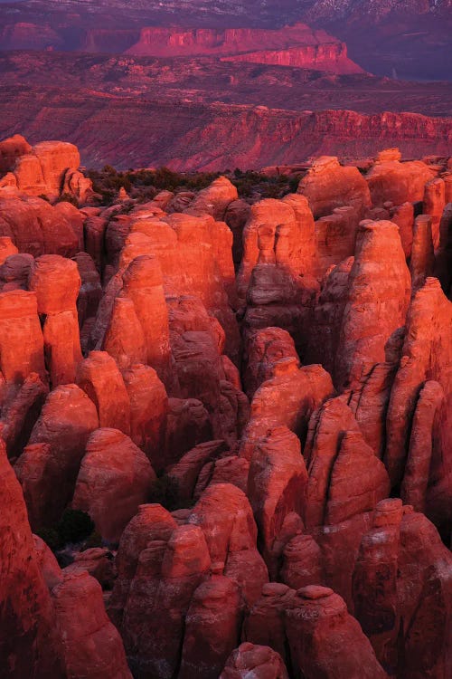 Fiery Furnace by Dustin LeFevre wall art