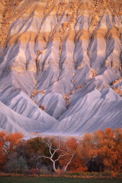 Dustin LeFevre: Show Stopper by Dustin LeFevre