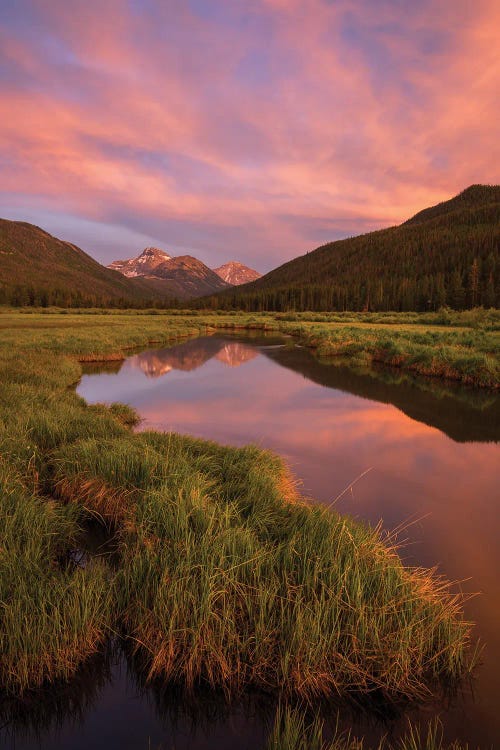 Christmas Meadow by Dustin LeFevre wall art