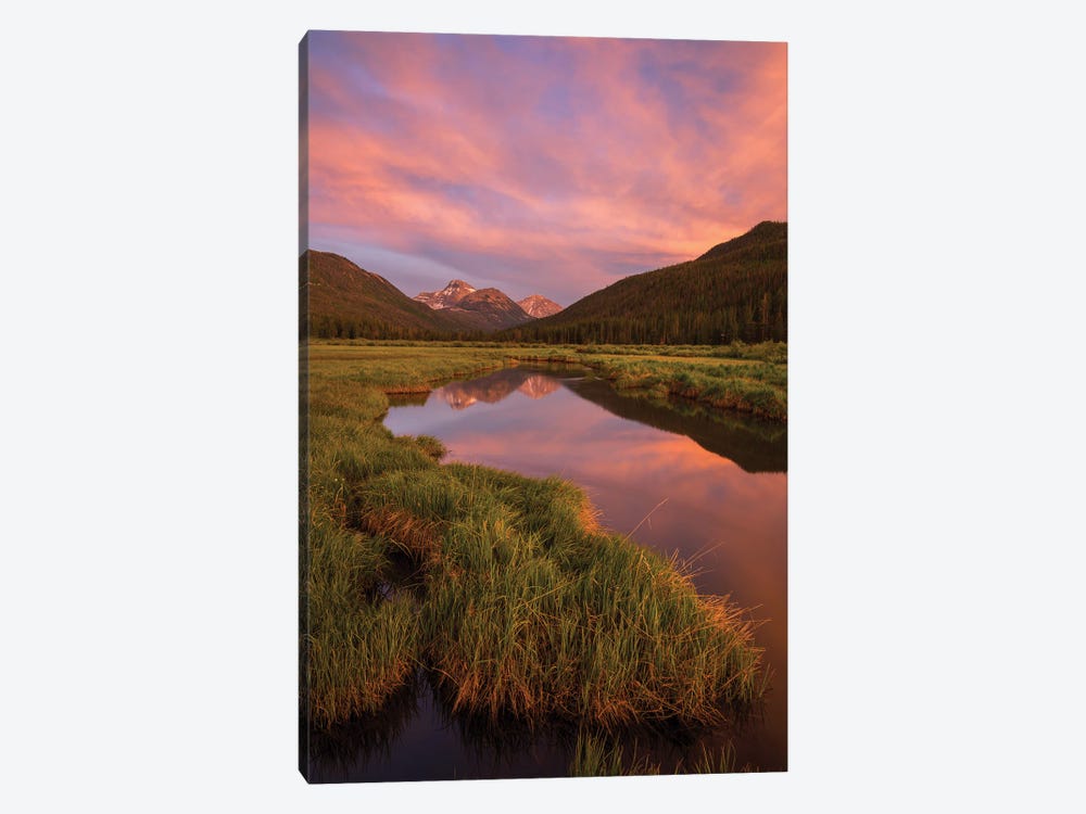 Christmas Meadow by Dustin LeFevre 1-piece Canvas Wall Art