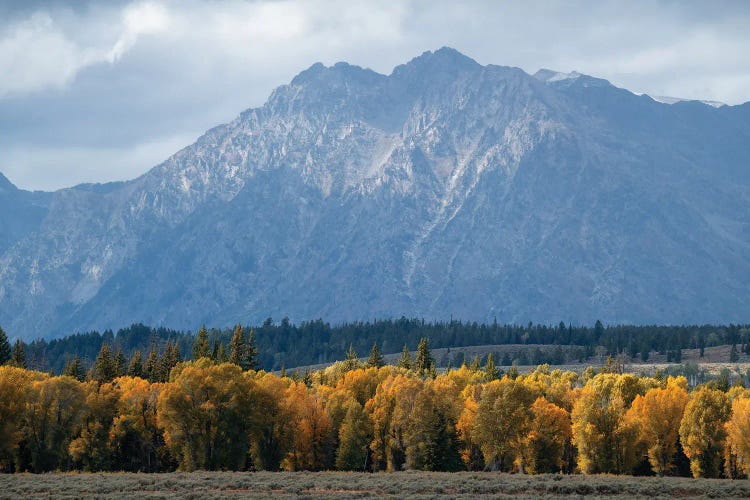 Tetons