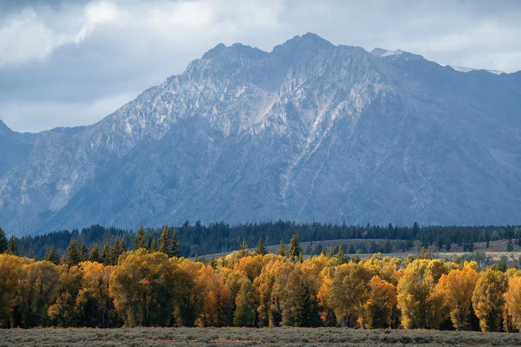 Tetons by Dustin LeFevre wall art