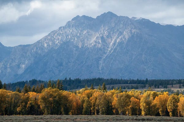Wyoming: Tetons by Dustin LeFevre