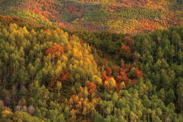 Utah: Color Wall by Dustin LeFevre