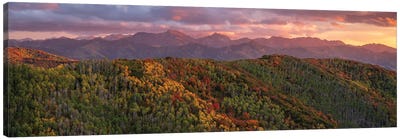 Wasatch Range Canvas Art Print - Aerial Photography
