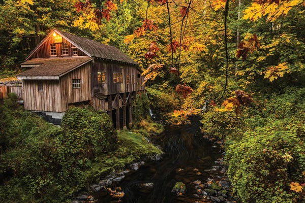 Dustin LeFevre: Cedar Creek Mill by Dustin LeFevre