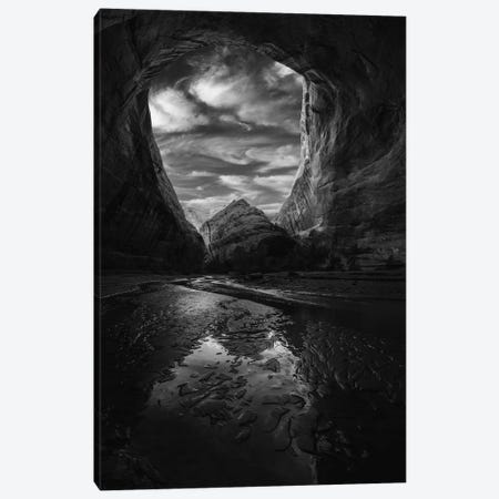 Coytote Gulch Black And White Canvas Print #DLF36} by Dustin LeFevre Canvas Print