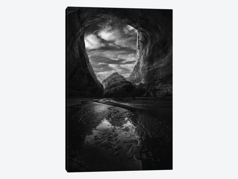 Coytote Gulch Black And White by Dustin LeFevre 1-piece Canvas Art Print