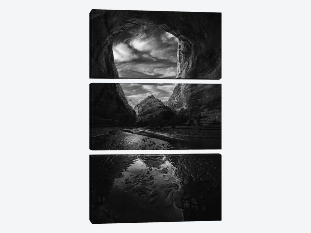 Coytote Gulch Black And White by Dustin LeFevre 3-piece Canvas Print