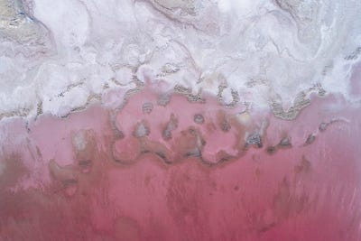 Archaea by Dustin LeFevre art print