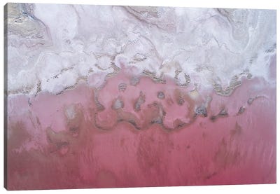 Archaea Canvas Art Print - Dustin LeFevre