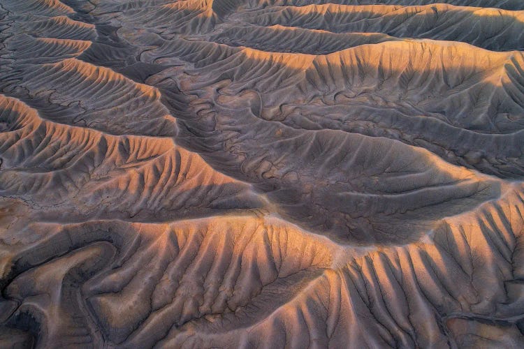 Serpentine by Dustin LeFevre wall art