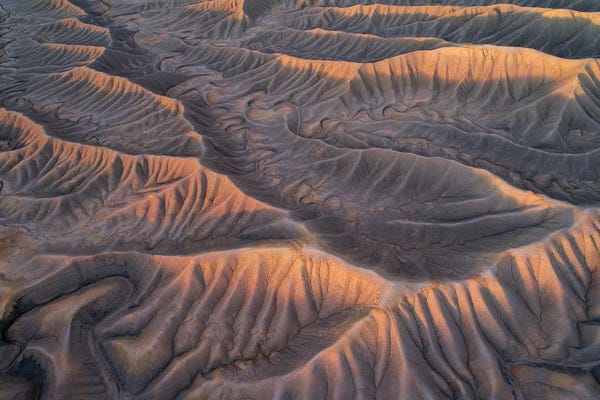 Dustin LeFevre: Serpentine by Dustin LeFevre