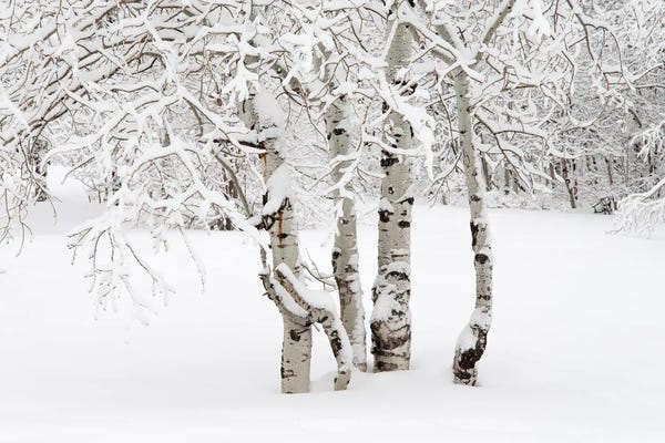 Utah: Simplicity by Dustin LeFevre