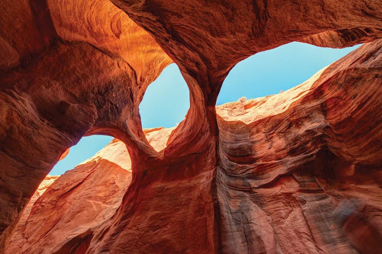 Skylights by Dustin LeFevre wall art