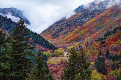 Autumn In The Middle by Dustin LeFevre art print