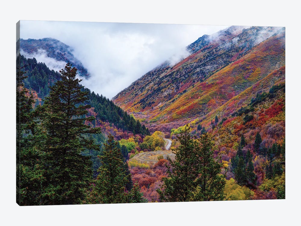 Autumn In The Middle by Dustin LeFevre 1-piece Art Print