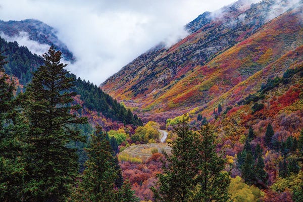 Utah: Autumn In The Middle by Dustin LeFevre