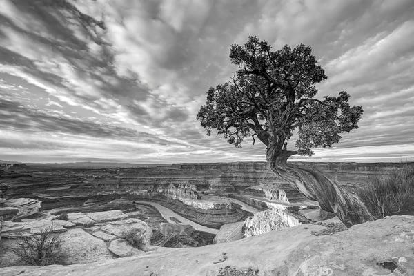 Utah: Dead Horse Point Black And White by Dustin LeFevre