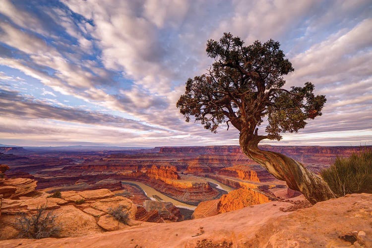Dead Horse Point