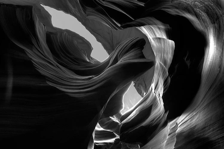 Wind Dancer by Dustin LeFevre wall art
