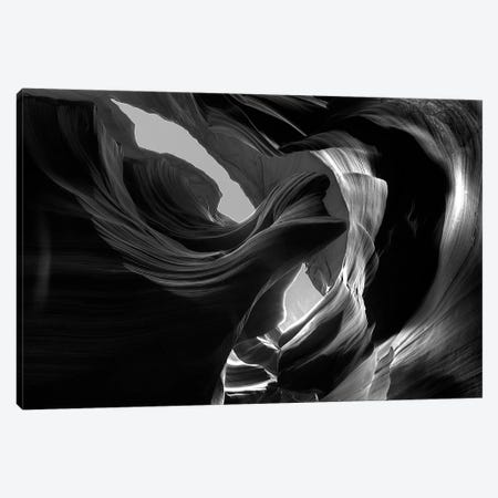 Wind Dancer Canvas Print #DLF58} by Dustin LeFevre Canvas Artwork