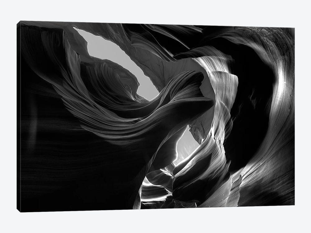 Wind Dancer by Dustin LeFevre 1-piece Canvas Print