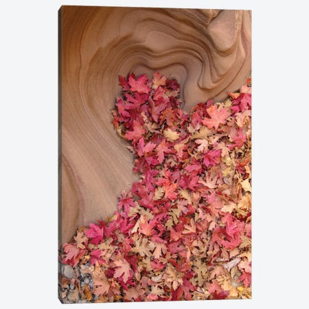 Heart Of Autumn Canvas Print #DLF59} by Dustin LeFevre Canvas Art