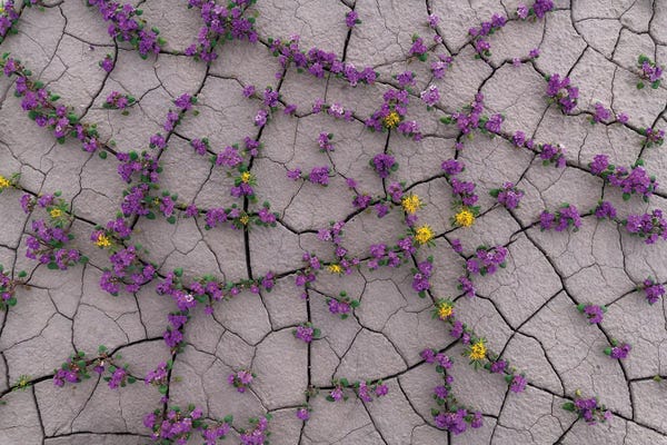 Dustin LeFevre: Break Through by Dustin LeFevre