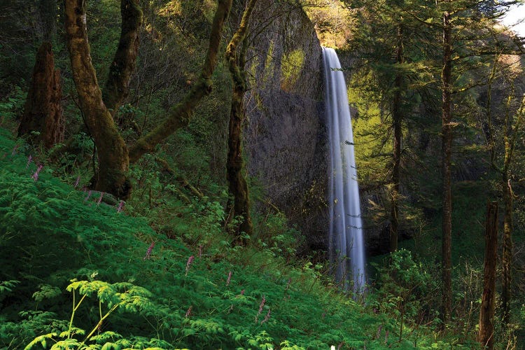 Latourell Falls