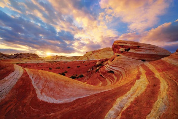 Nevada: Bacon Wave by Dustin LeFevre