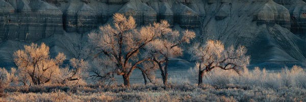 Dustin LeFevre: Sleeping Beauty by Dustin LeFevre