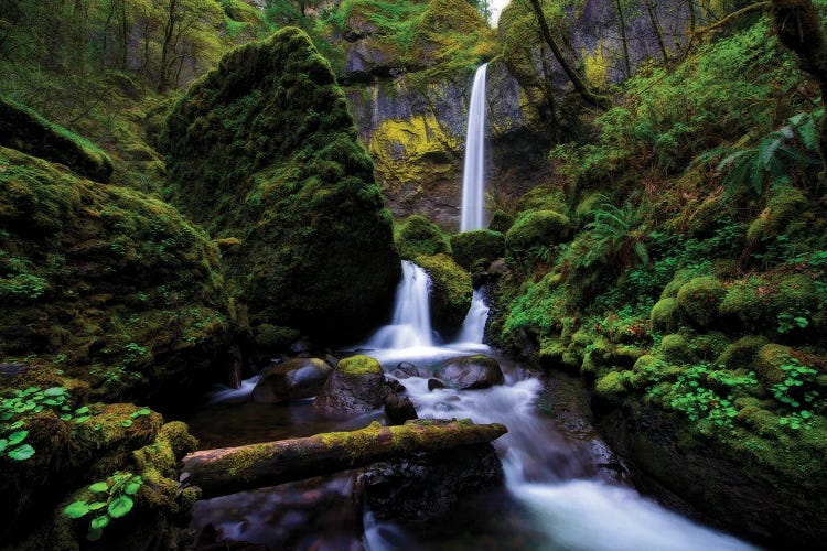 Elowah Falls by Dustin LeFevre wall art