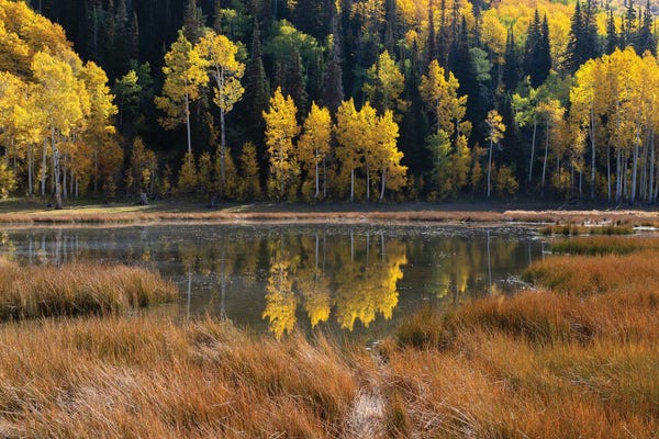 Utah: Autumn Mirror by Dustin LeFevre
