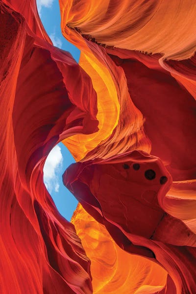 Dustin LeFevre: Enduring Beauty by Dustin LeFevre