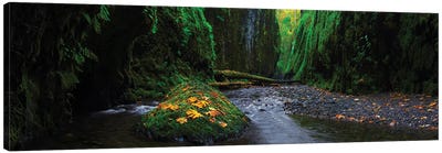 Fall In The Gorge Canvas Art Print - Dustin LeFevre